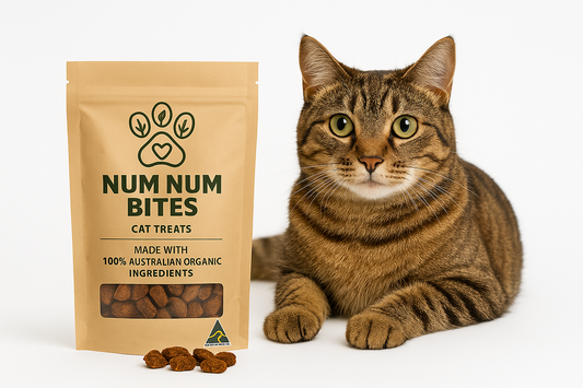 Num Num Bites